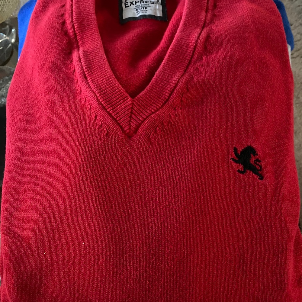 Express sweater
